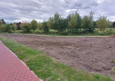 Foto aangelegde bloemenweide nabij Dirck van Swietenlaan