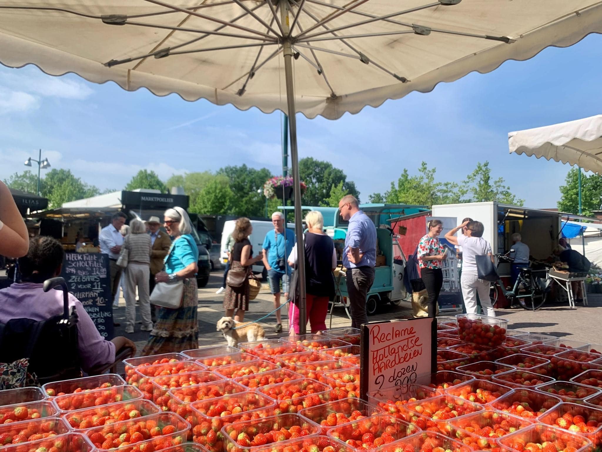 college op de weekmarkt. Kraam met aardbeien op de voorgrond.