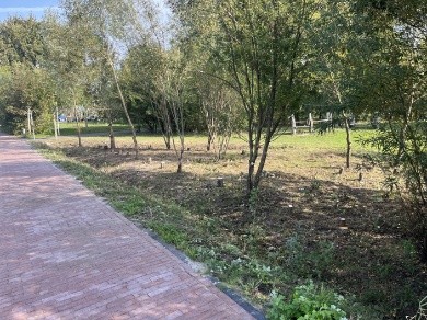 Bosplantsoen snoeien situatie na Afbeelding van gesnoeid bosplantsoen. Er is volop ruimte voor nieuwe groei.