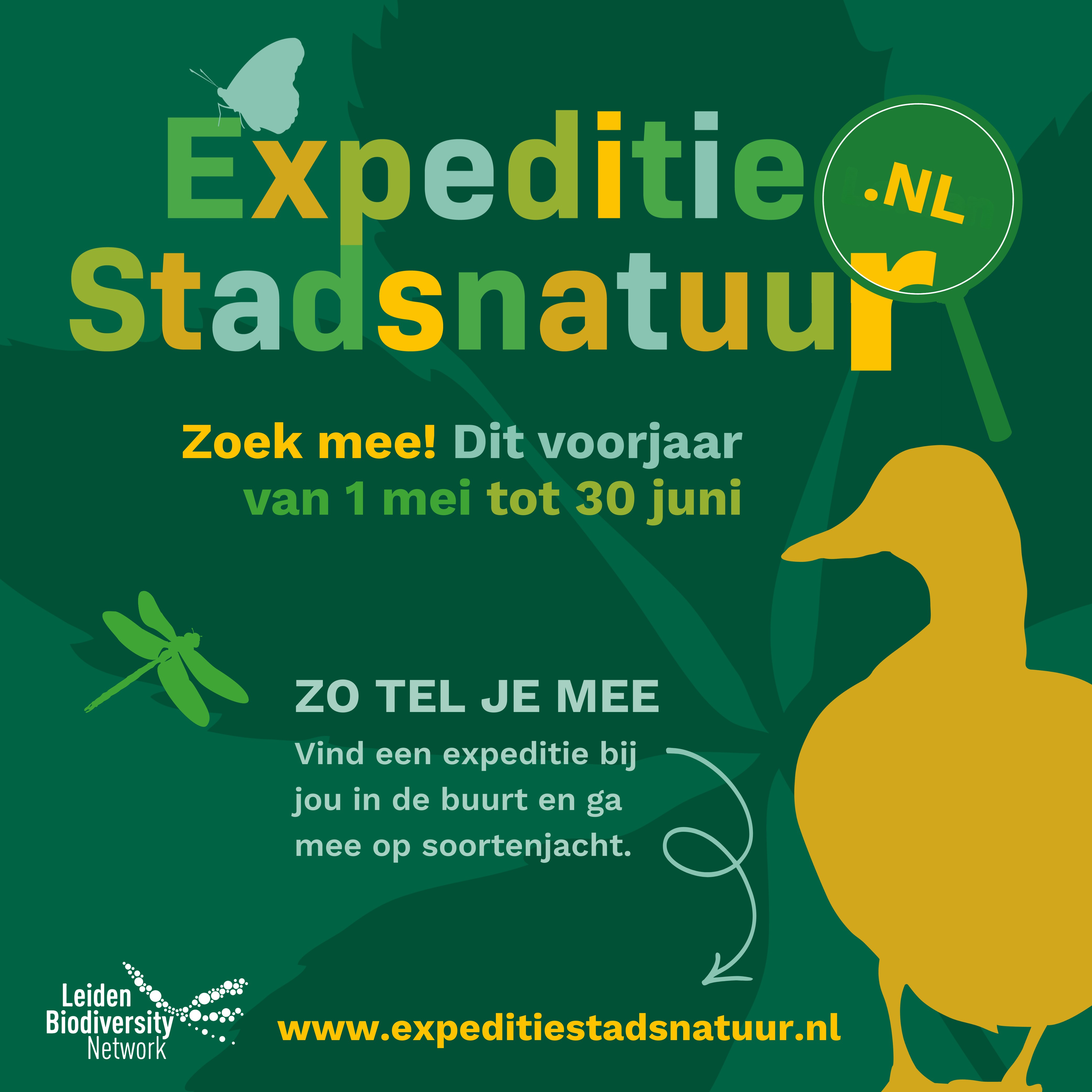 flyer expeditie stadsnatuur