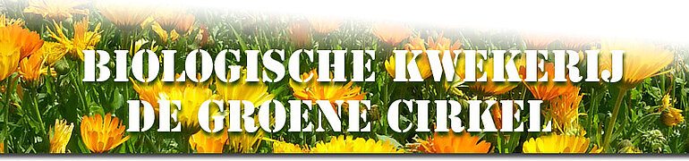 Tekst 'Biologische kwekerij de groene cirkel' met op de achtergrond plantjes met gele bloemen