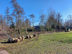 Foto van bomen die klaar liggen om geplant te worden in het bosgebied bij de nieuwe begraafplaats