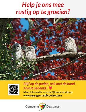 Informatiebord met de tekst help je ons rustig op te groeien? met 3 jonge uilen op een tak in een boom met rood en groen blad